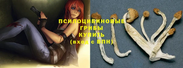мяу мяу мука Абаза