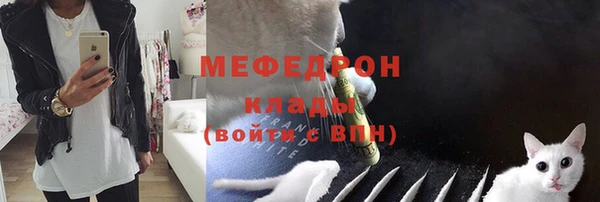 мяу мяу мука Абаза