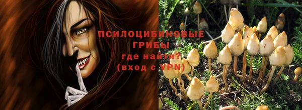 мяу мяу мука Абаза